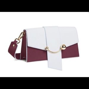 Stunning Strathberry Bag (NWOT)